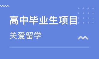 武漢西班牙留學(xué)中介 專業(yè)指南與自費(fèi)出國服務(wù)全解析